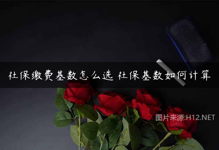 社保缴费基数怎么选 社保基数如何计算