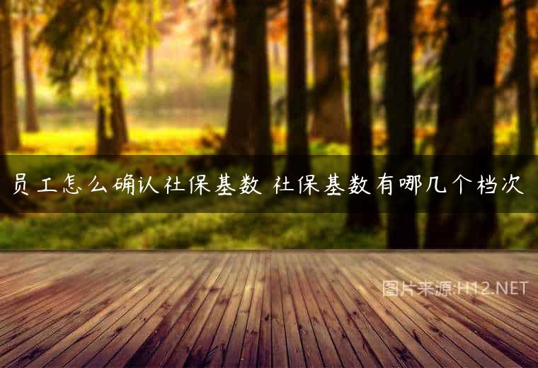 员工怎么确认社保基数 社保基数有哪几个档次
