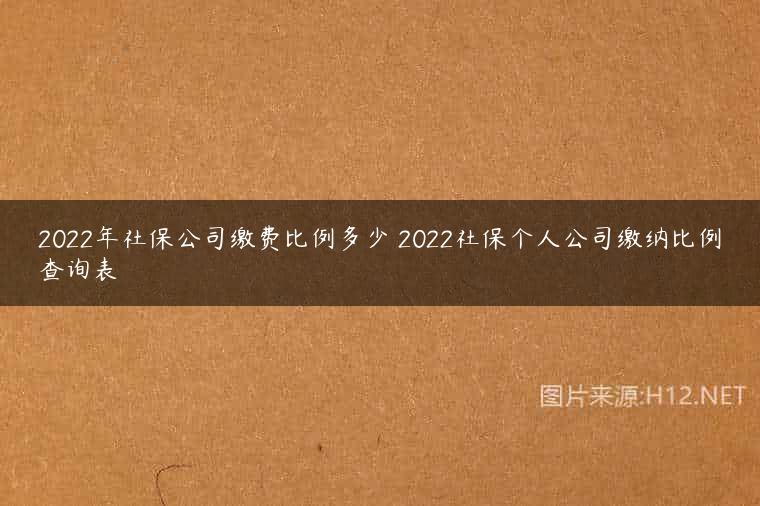 2022年社保公司缴费比例多少 2022社保个人公司缴纳比例查询表