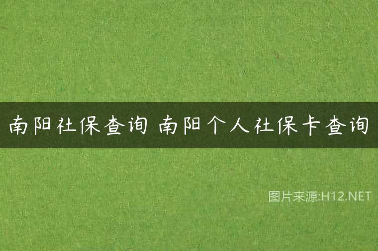 南阳社保查询 南阳个人社保卡查询