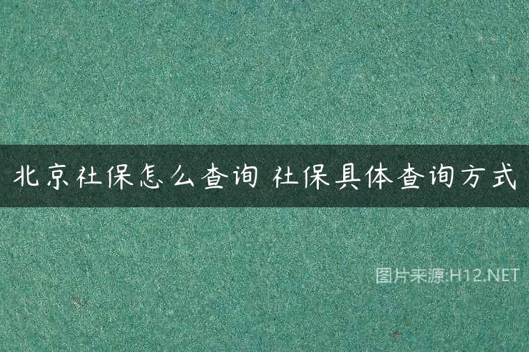 北京社保怎么查询 社保具体查询方式