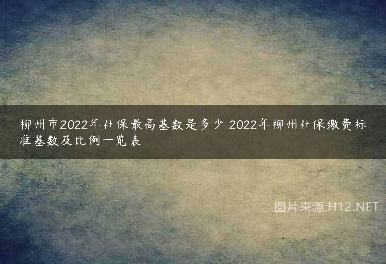 柳州市2022年社保最高基数是多少 2022年柳州社保缴费标准基数及比例一览表
