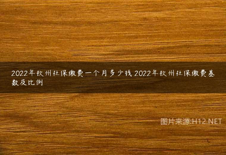 2022年钦州社保缴费一个月多少钱 2022年钦州社保缴费基数及比例