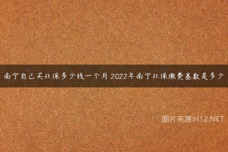 南宁自己买社保多少钱一个月 2022年南宁社保缴费基数是多少