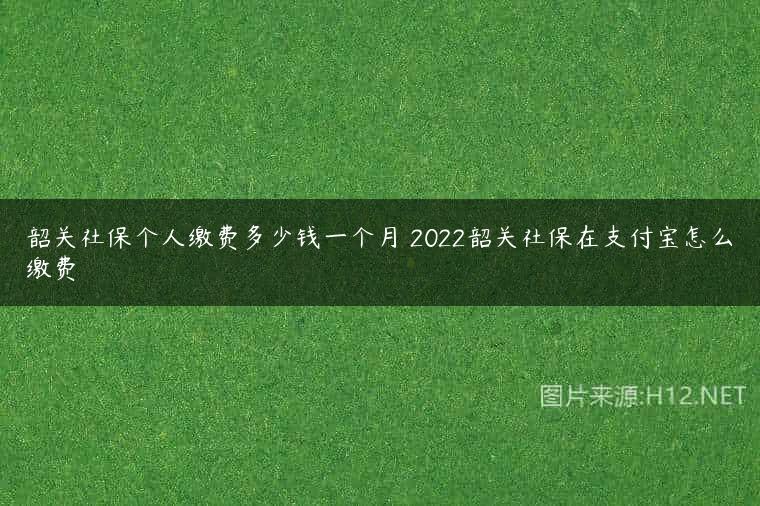韶关社保个人缴费多少钱一个月 2022韶关社保在支付宝怎么缴费