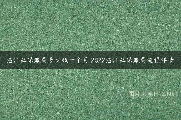 湛江社保缴费多少钱一个月 2022湛江社保缴费流程详情
