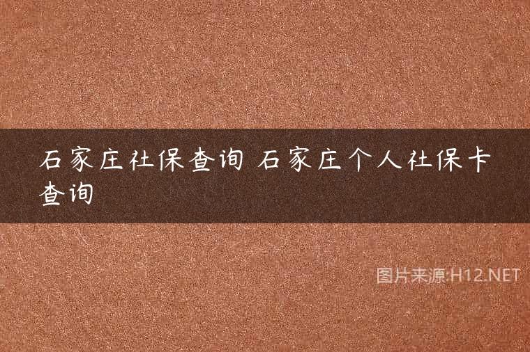 石家庄社保查询 石家庄个人社保卡查询