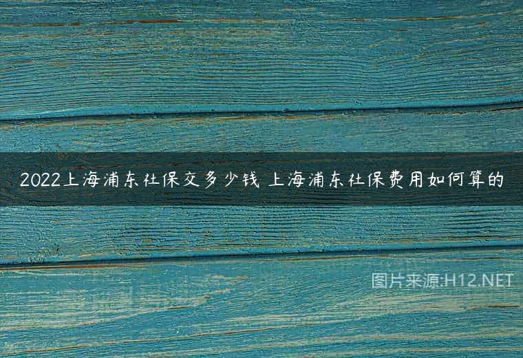 2022上海浦东社保交多少钱 上海浦东社保费用如何算的