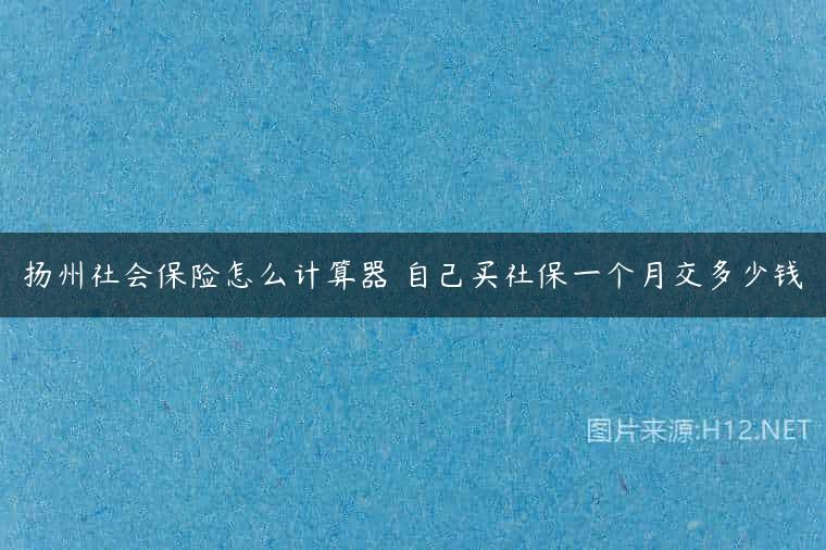 扬州社会保险怎么计算器 自己买社保一个月交多少钱