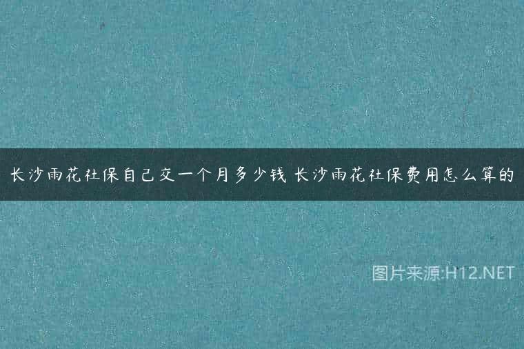 长沙雨花社保自己交一个月多少钱 长沙雨花社保费用怎么算的