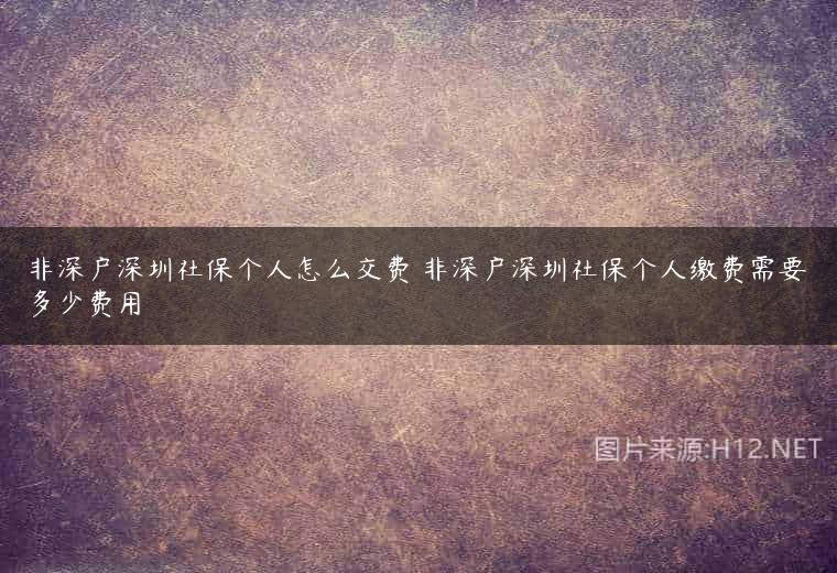 非深户深圳社保个人怎么交费 非深户深圳社保个人缴费需要多少费用