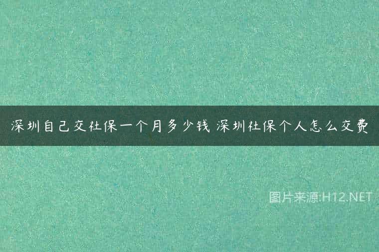 深圳自己交社保一个月多少钱 深圳社保个人怎么交费