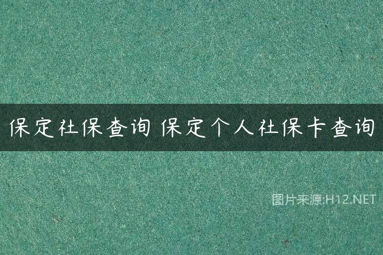 保定社保查询 保定个人社保卡查询