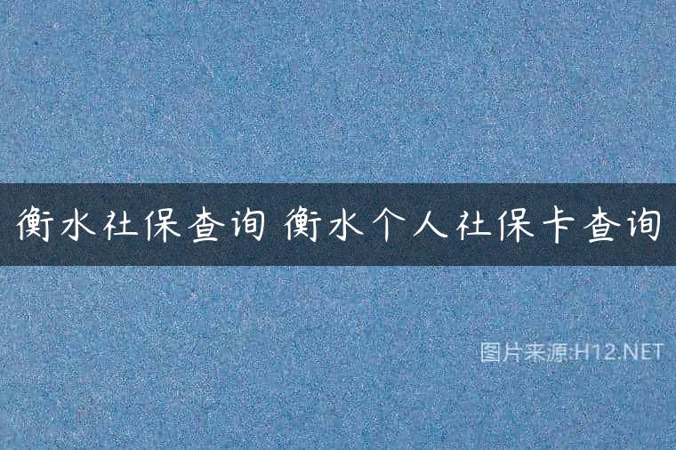 衡水社保查询 衡水个人社保卡查询