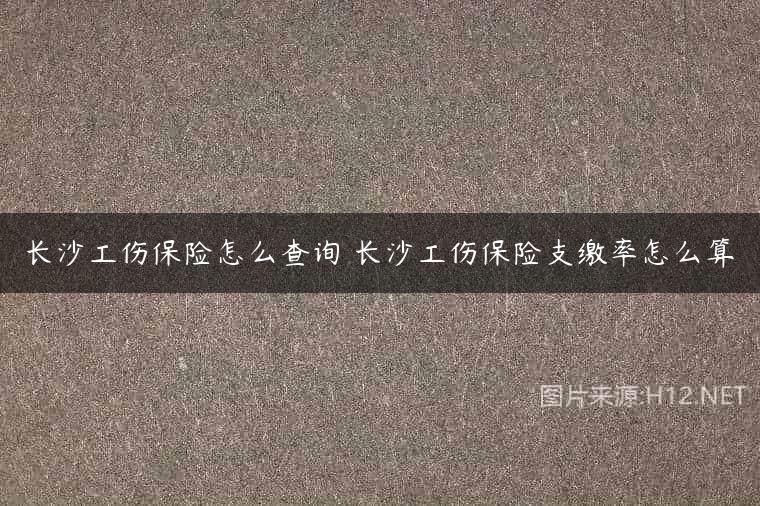长沙工伤保险怎么查询 长沙工伤保险支缴率怎么算
