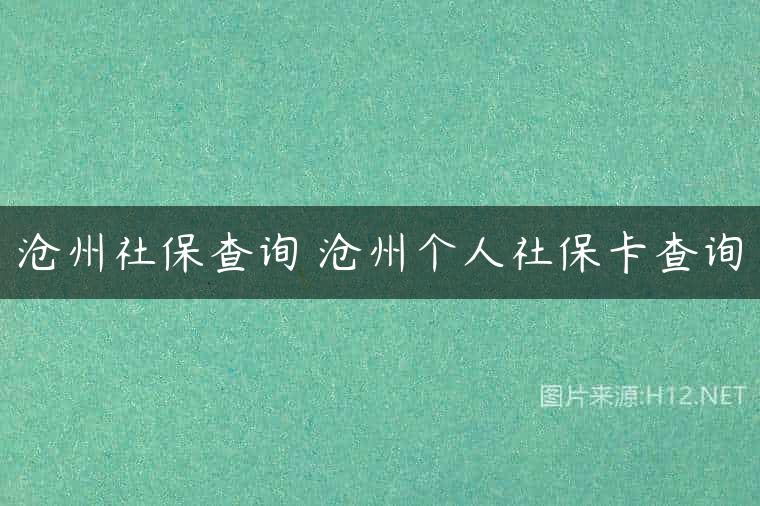 沧州社保查询 沧州个人社保卡查询