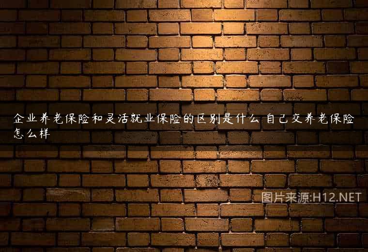 企业养老保险和灵活就业保险的区别是什么 自己交养老保险怎么样
