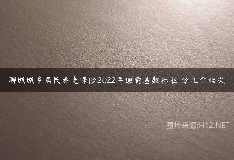聊城城乡居民养老保险2022年缴费基数标准 分几个档次