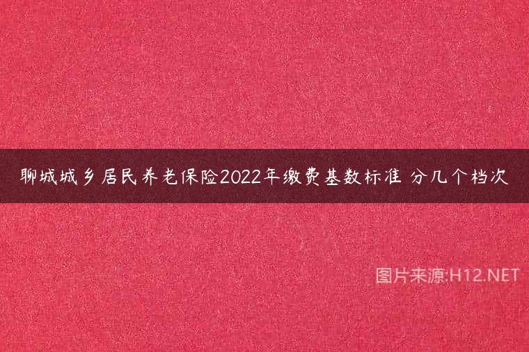 聊城城乡居民养老保险2022年缴费基数标准 分几个档次