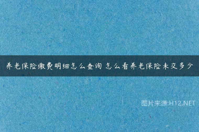 养老保险缴费明细怎么查询 怎么看养老保险未交多少