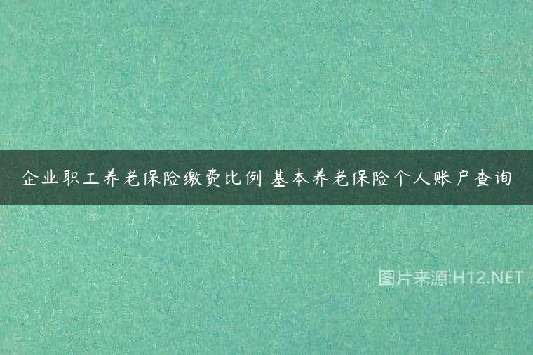 企业职工养老保险缴费比例 基本养老保险个人账户查询