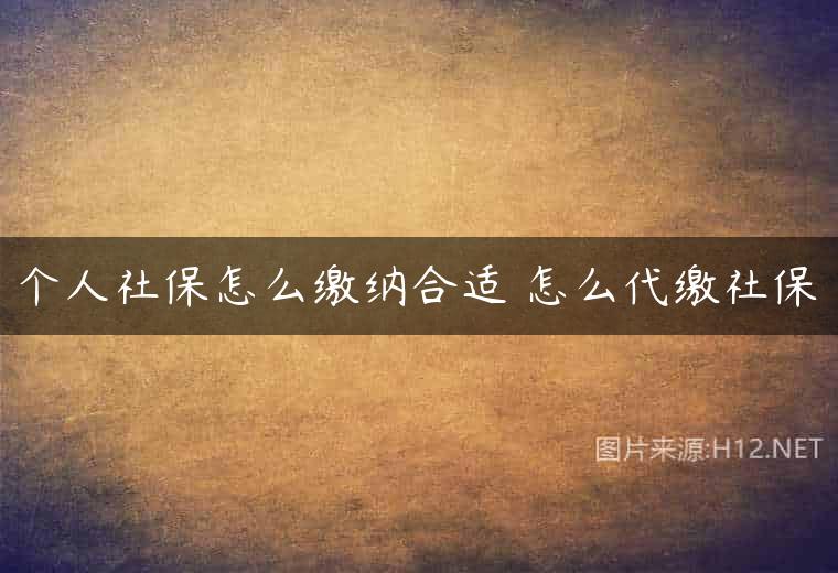 个人社保怎么缴纳合适 怎么代缴社保