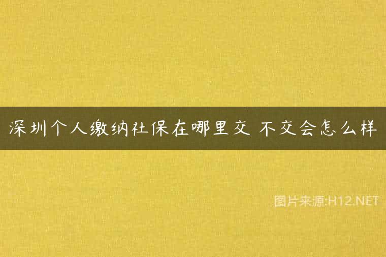 深圳个人缴纳社保在哪里交 不交会怎么样
