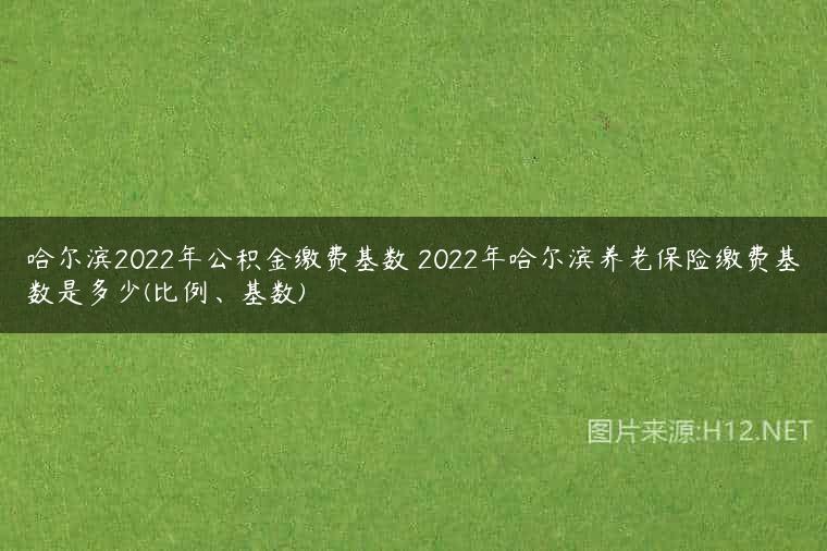 哈尔滨2022年公积金缴费基数 2022年哈尔滨养老保险缴费基数是多少(比例、基数)