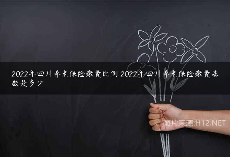 2022年四川养老保险缴费比例 2022年四川养老保险缴费基数是多少