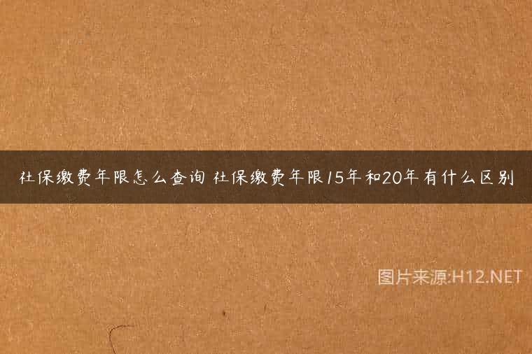 社保缴费年限怎么查询 社保缴费年限15年和20年有什么区别