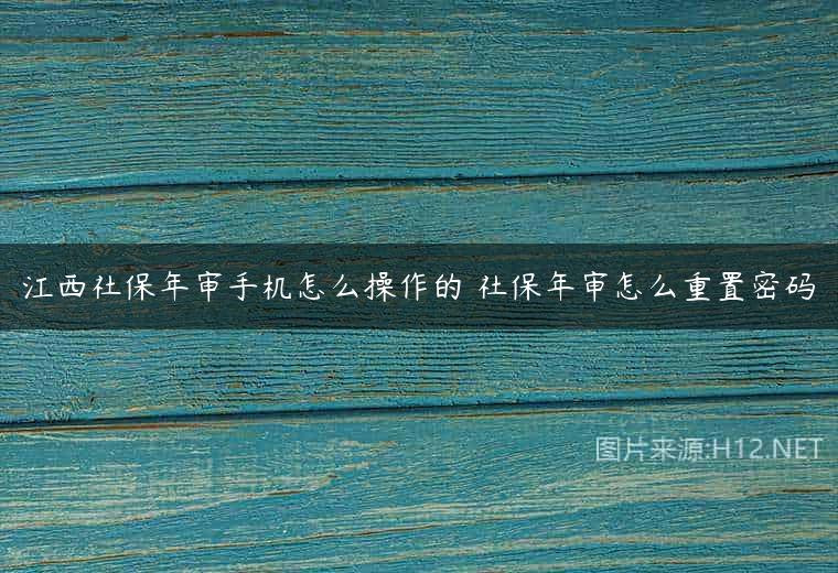 江西社保年审手机怎么操作的 社保年审怎么重置密码