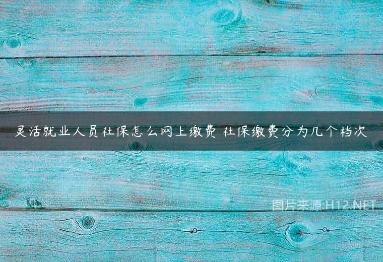 灵活就业人员社保怎么网上缴费 社保缴费分为几个档次