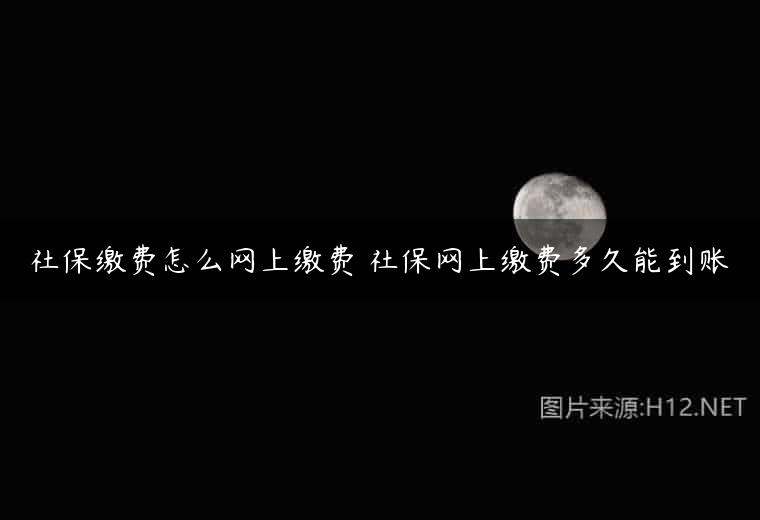 社保缴费怎么网上缴费 社保网上缴费多久能到账