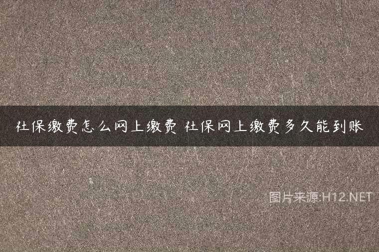 社保缴费怎么网上缴费 社保网上缴费多久能到账