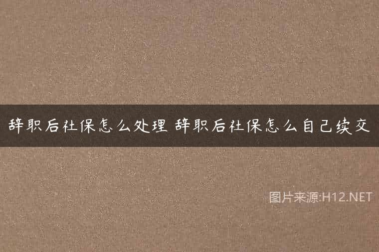辞职后社保怎么处理 辞职后社保怎么自己续交