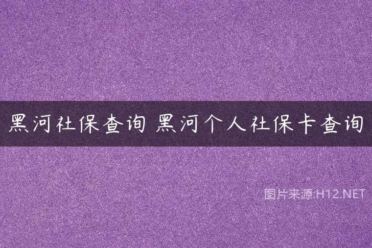 黑河社保查询 黑河个人社保卡查询