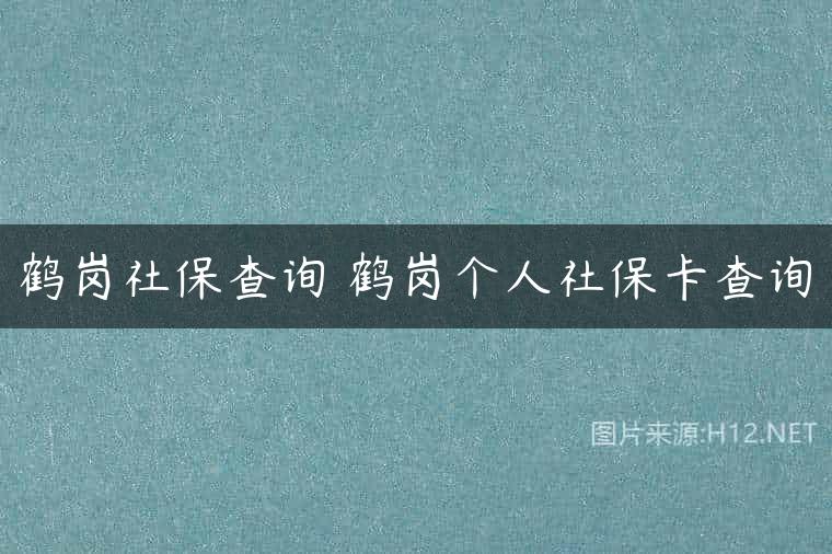 鹤岗社保查询 鹤岗个人社保卡查询