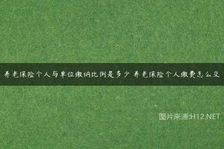 养老保险个人与单位缴纳比例是多少 养老保险个人缴费怎么交