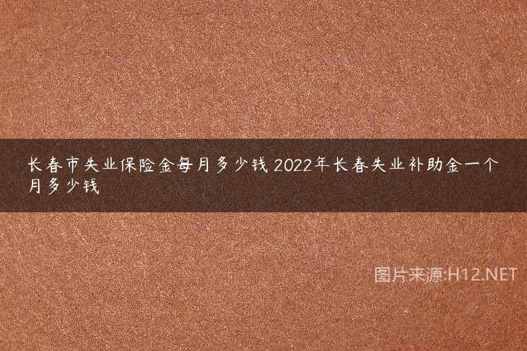 长春市失业保险金每月多少钱 2022年长春失业补助金一个月多少钱