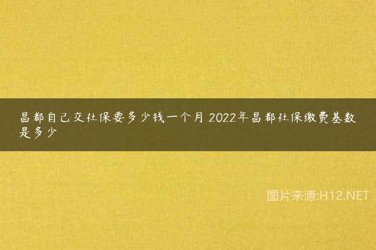 昌都自己交社保要多少钱一个月 2022年昌都社保缴费基数是多少