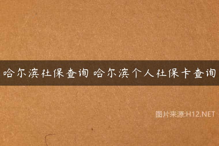 哈尔滨社保查询 哈尔滨个人社保卡查询