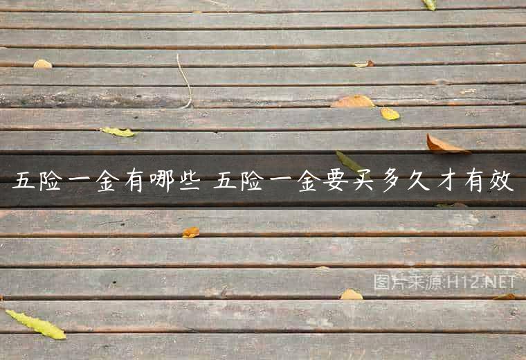 五险一金有哪些 五险一金要买多久才有效