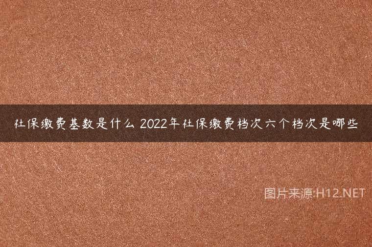 社保缴费基数是什么 2022年社保缴费档次六个档次是哪些