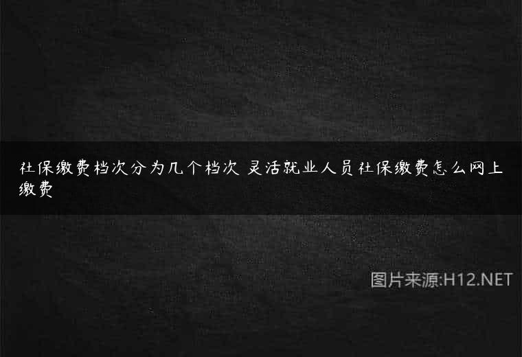社保缴费档次分为几个档次 灵活就业人员社保缴费怎么网上缴费