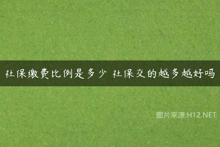 社保缴费比例是多少 社保交的越多越好吗