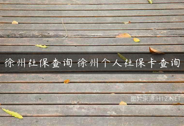 徐州社保查询 徐州个人社保卡查询