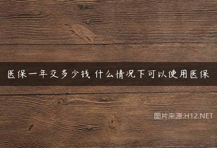医保一年交多少钱 什么情况下可以使用医保