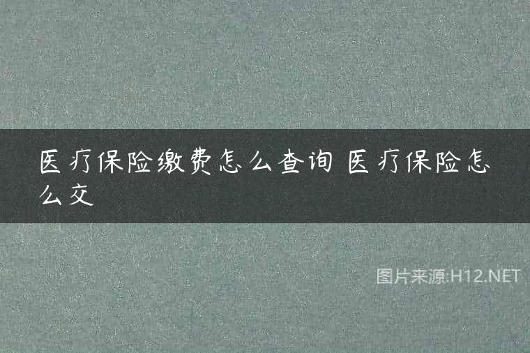 医疗保险缴费怎么查询 医疗保险怎么交
