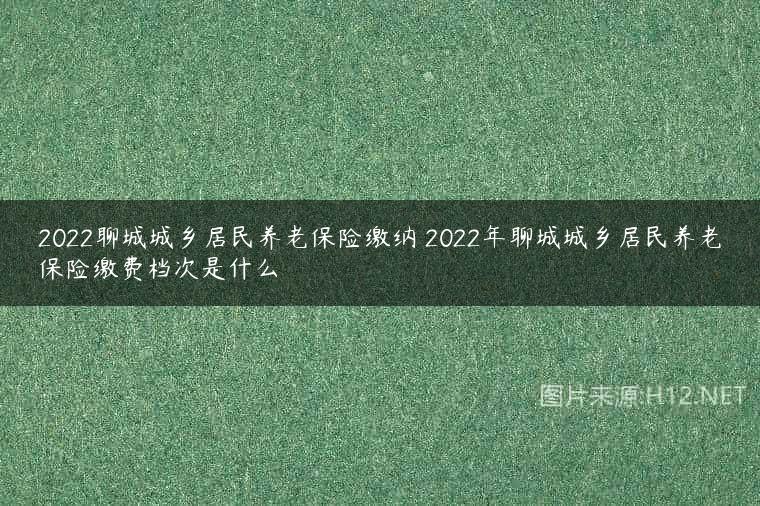 2022聊城城乡居民养老保险缴纳 2022年聊城城乡居民养老保险缴费档次是什么