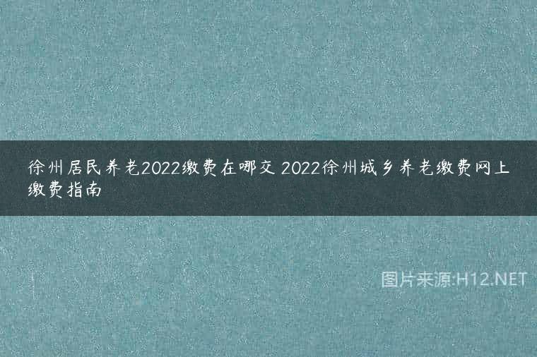 徐州居民养老2022缴费在哪交 2022徐州城乡养老缴费网上缴费指南
